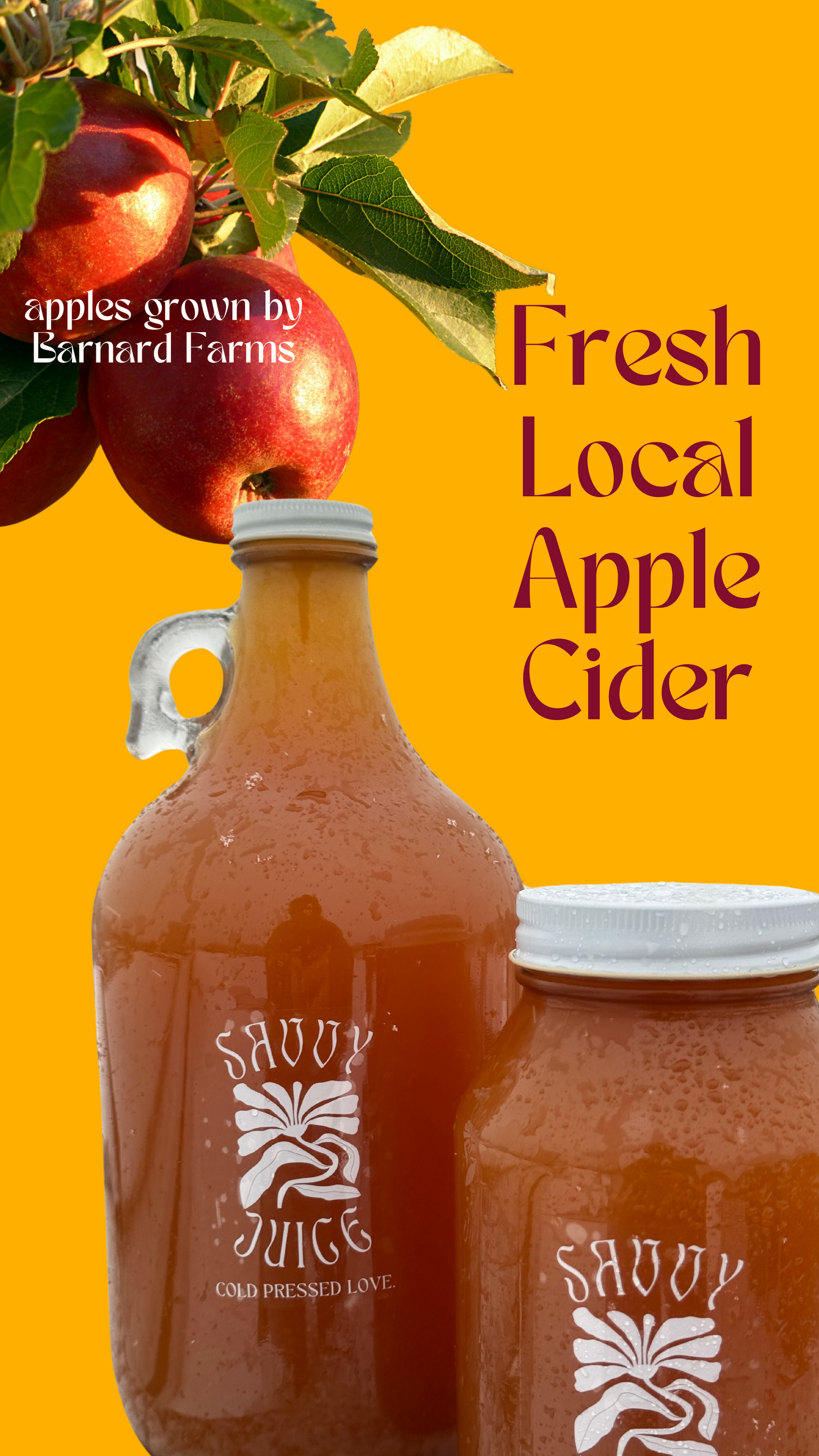 Apple Cider Three Apple Blend – Savvy Juice